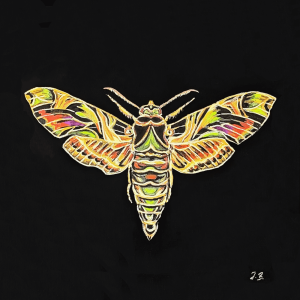 Zusätzliches Bild von Fauna on paper